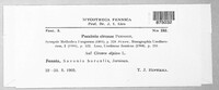 Puccinia circaeae image